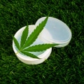 The UK's Stance on International Drug Treaties: Exploring Medical Cannabis Legalization