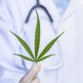 Understanding Medical Cannabis Clinics and Pharmacies in the UK