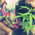 Penalties for Possession and Distribution of Illegal Cannabis in the UK