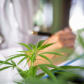 Minimizing Potential Side Effects of Medical Cannabis in the UK