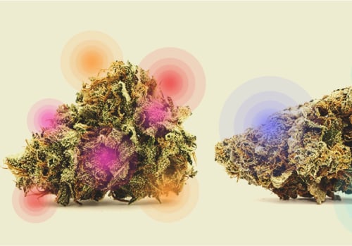 Differences Between Recreational and Medical Cannabis Use in the UK