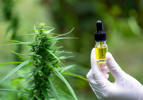 Treating Seizures and Epilepsy with CBD: Understanding the Legality and Availability in the UK