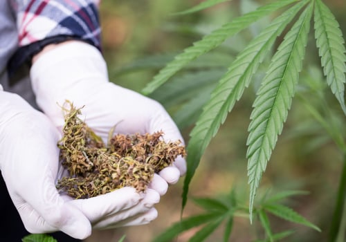 How do i get medical cannabis in the uk?