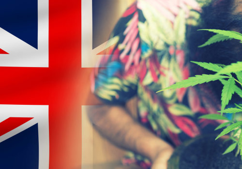 Penalties for Possession and Distribution of Illegal Cannabis in the UK